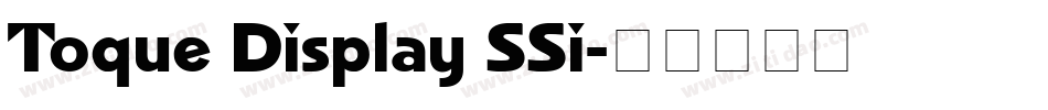 Toque Display SSi字体转换